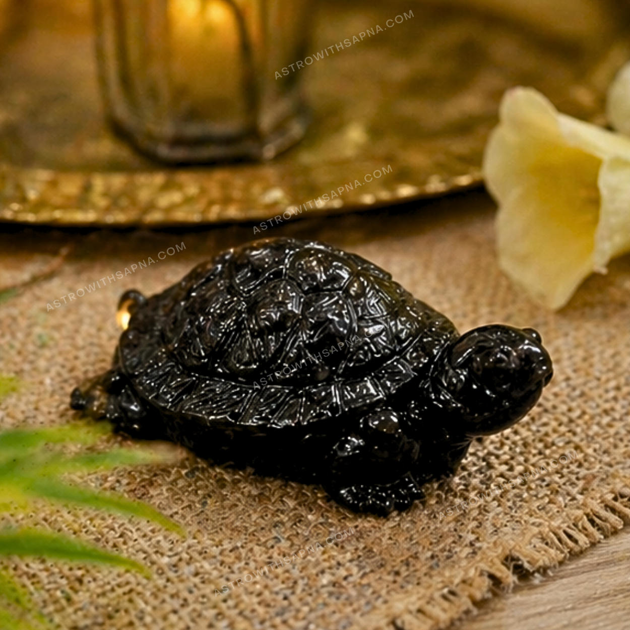 41 Black Pyrite Turtle – Protection, Stability & Wealth Energy Idol - Image 2