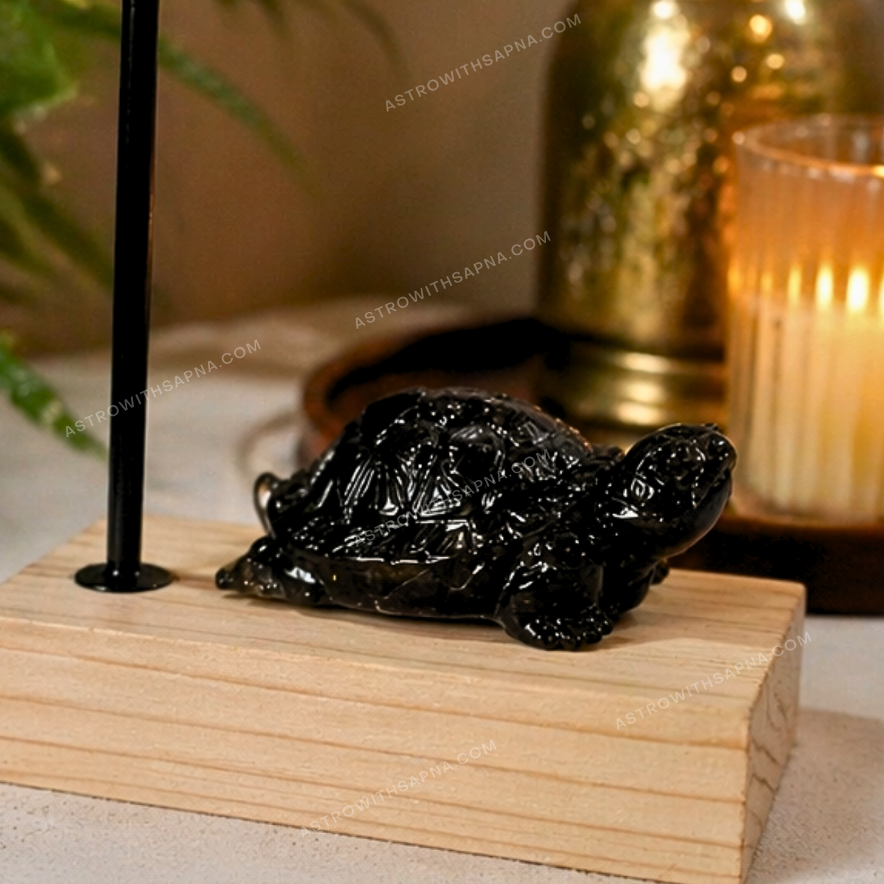 43 Black Pyrite Turtle – Protection, Stability & Wealth Energy Idol - Image 4